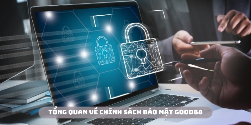 Chính sách này ra đời với nhiệm vụ quan trọng tại nền tảng