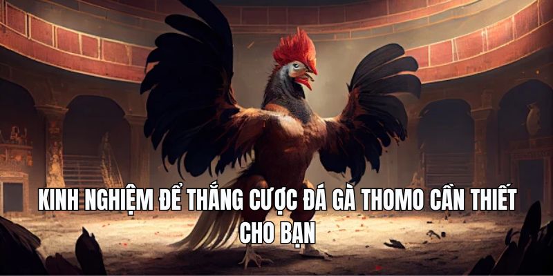 Kinh nghiệm để thắng cược cần thiết cho bạn